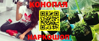 a pvp Бузулук
