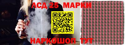 молекула духа Будённовск