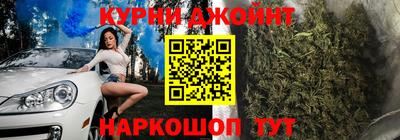 молекула духа Будённовск