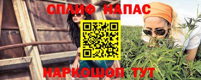 молекула духа Будённовск