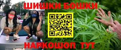 молекула духа Будённовск
