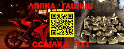 молекула духа Будённовск
