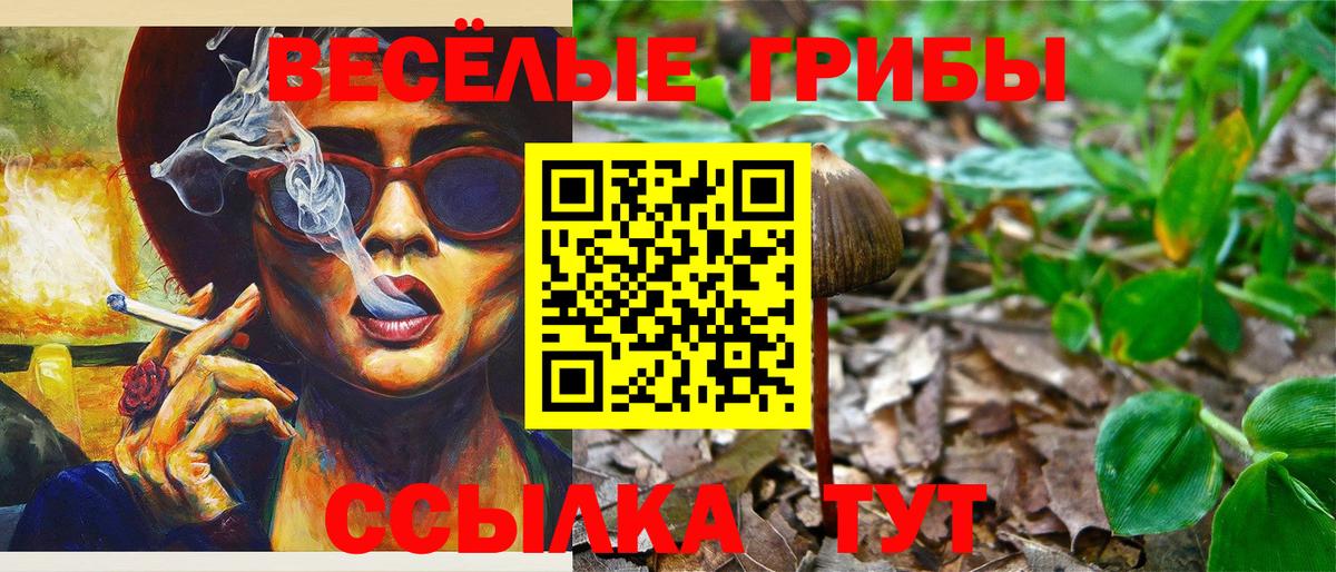 Галлюциногенные грибы Psilocybine cubensis Строитель