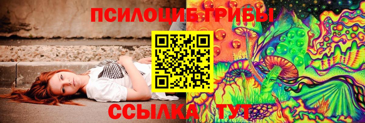 Строитель  Галлюциногенные грибы Magic Shrooms  Вход с VPN 